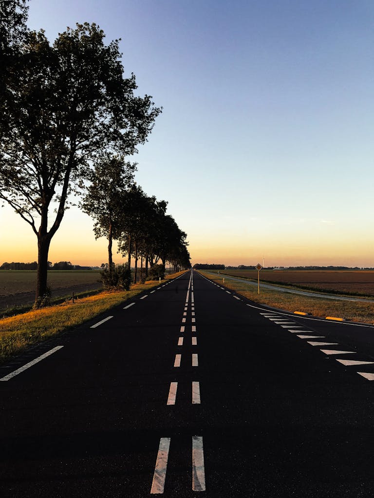 Long straight road with trees in Swifterbant, Netherlands at sunset.